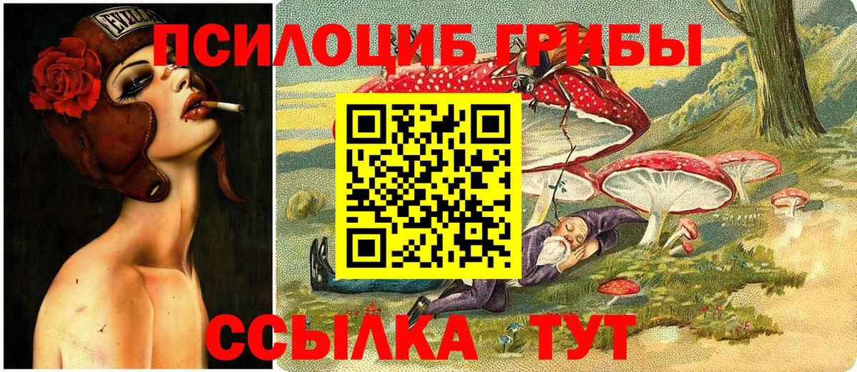 Псилоцибиновые грибы ЛСД  Вход с VPN  Коряжма  Галлюциногенные грибы Cubensis 